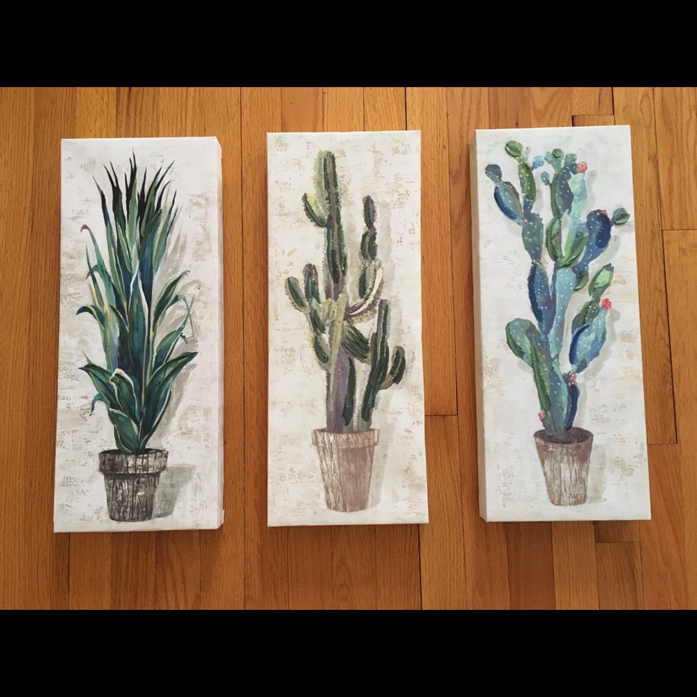 Set of three canvas succulent prints with brushstroke details